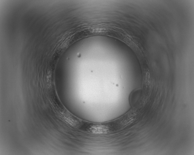 X0000053000557200507221250