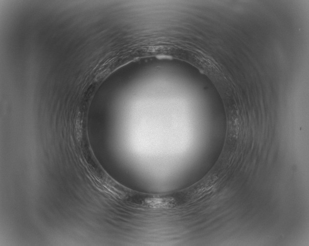 X0000053000558200507221250