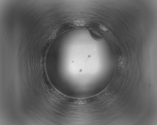 X0000053000559200507221250