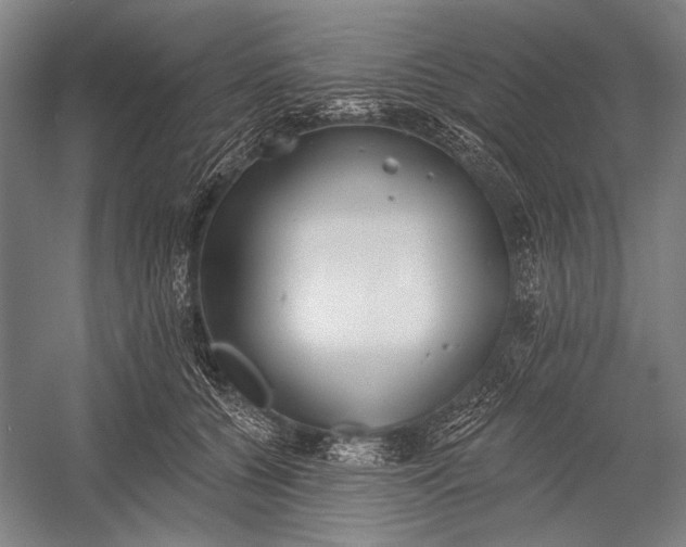 X0000053000560200507221250