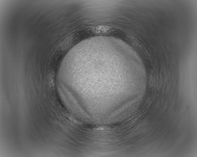 X0000053000561200507221250