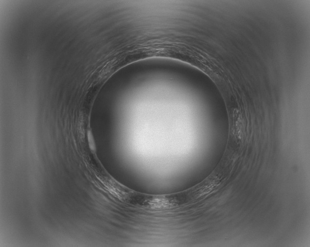 X0000053000562200507221250