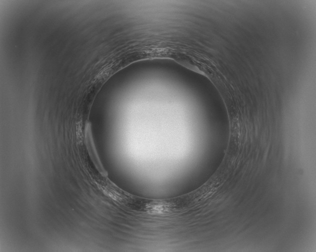 X0000053000564200507221250