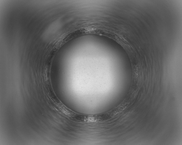 X0000053000565200507221250