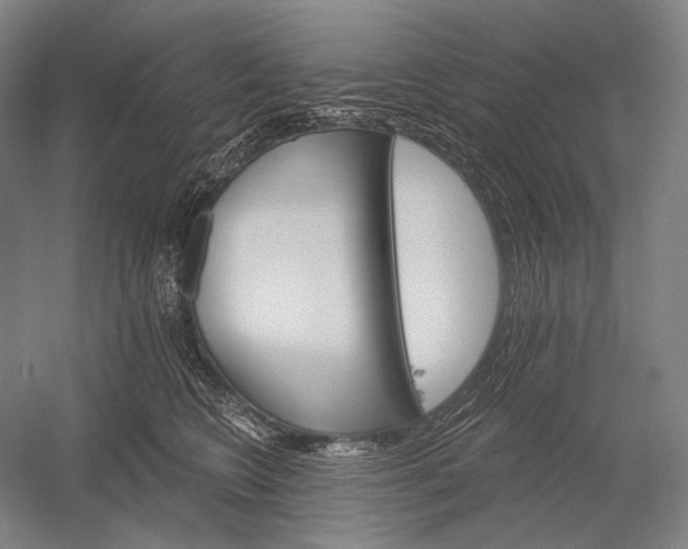 X0000053000566200507221250