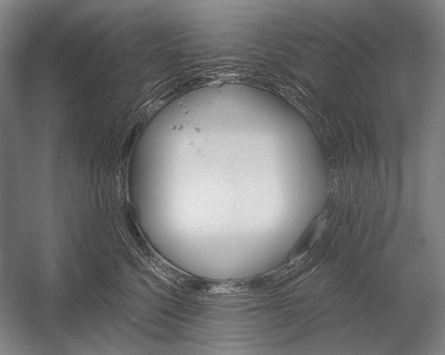 X0000053000568200507221250