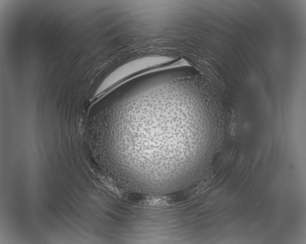 X0000053000569200507221250