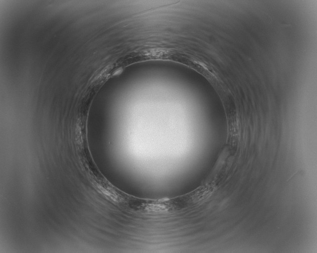 X0000053000572200507221250