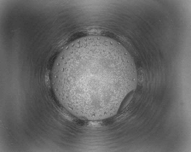 X0000053000573200507221250