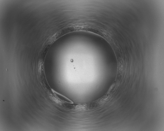 X0000053000574200507221250