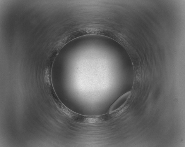 X0000053000575200507221250