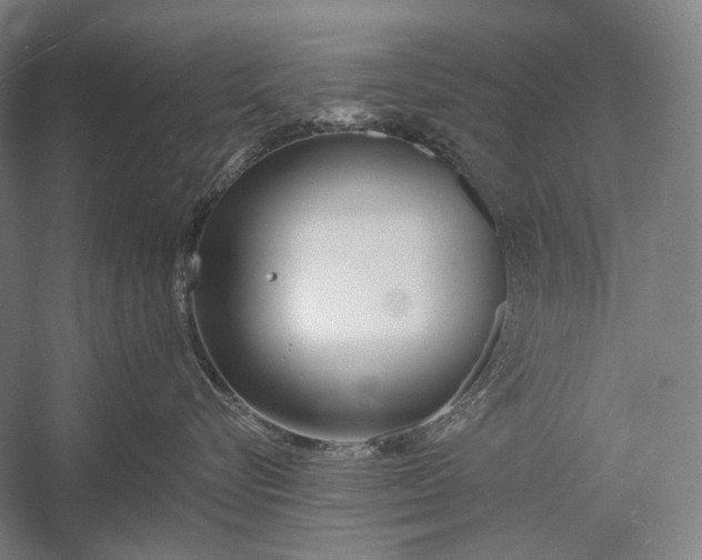 X0000053000576200507221250