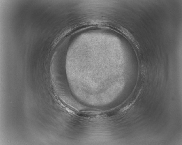 X0000053000577200507221249