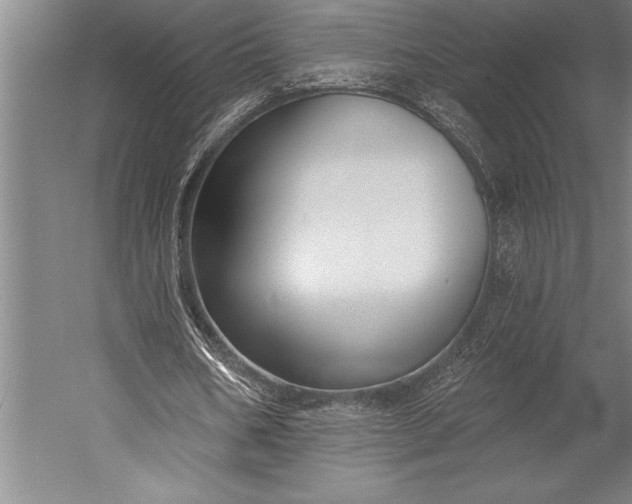 X0000053000578200507221249