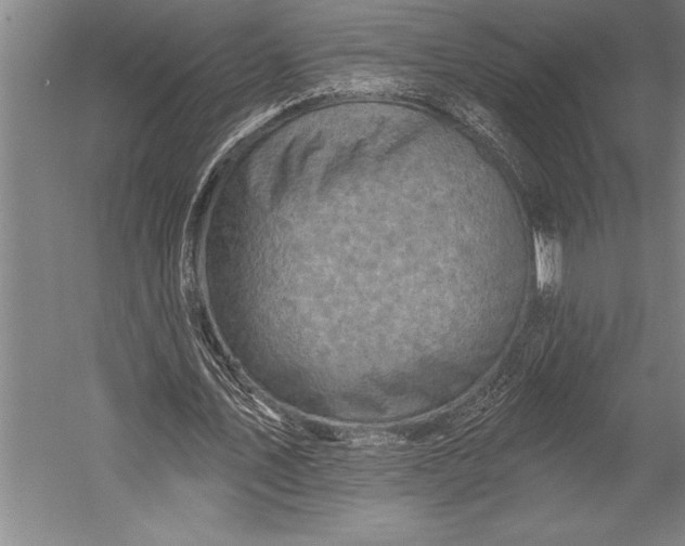 X0000053000579200507221249