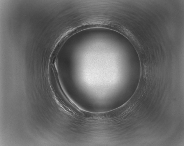 X0000053000580200507221249