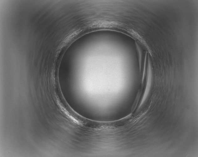 X0000053000581200507221249