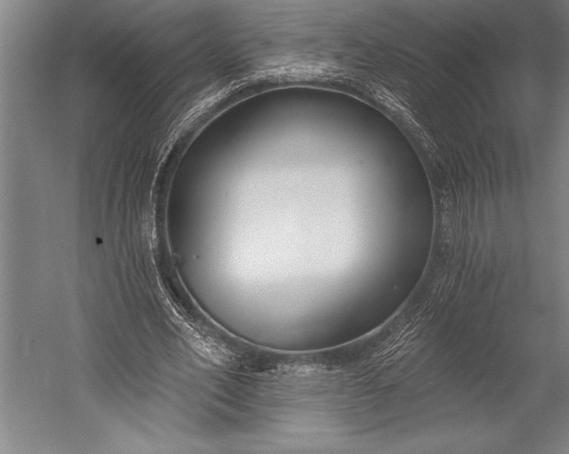 X0000053000582200507221249