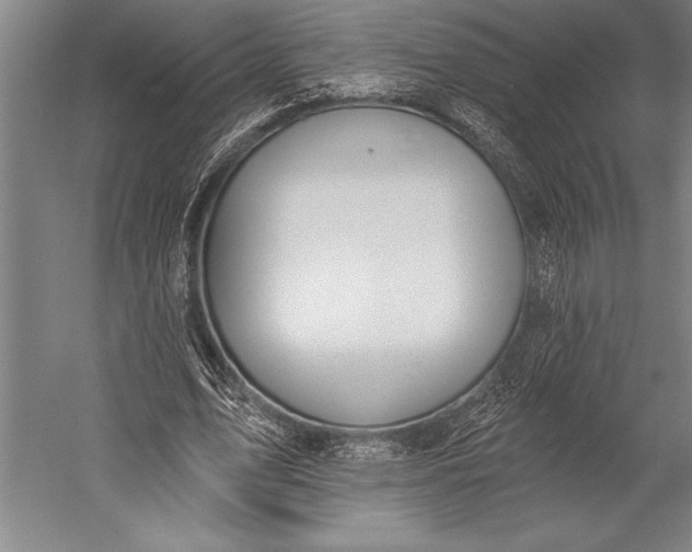 X0000053000583200507221249