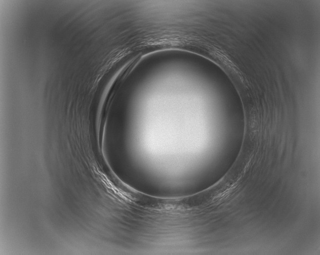 X0000053000585200507221249