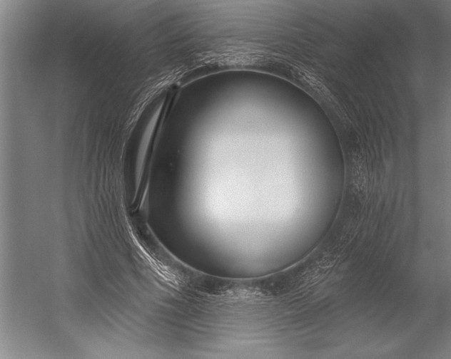 X0000053000586200507221249