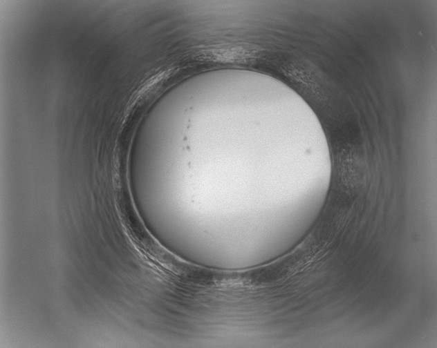 X0000053000587200507221249