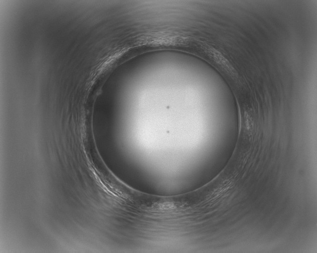 X0000053000588200507221249