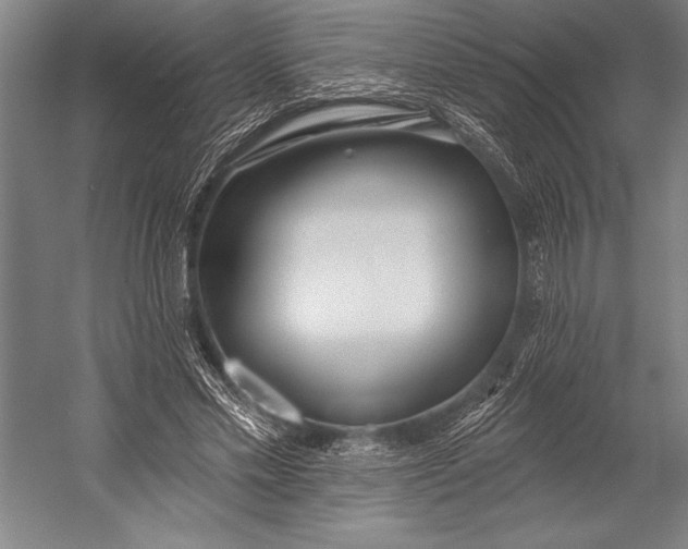 X0000053000589200507221249