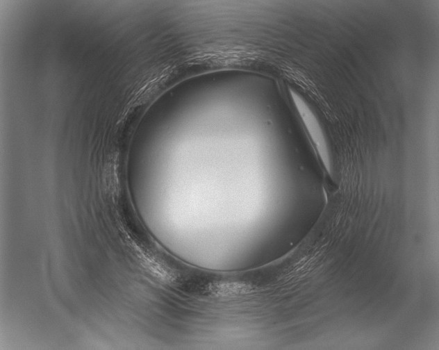 X0000053000590200507221249