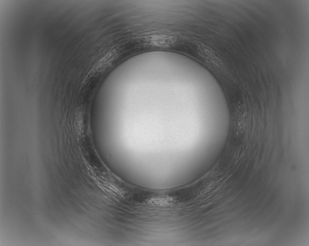 X0000053000595200507221249