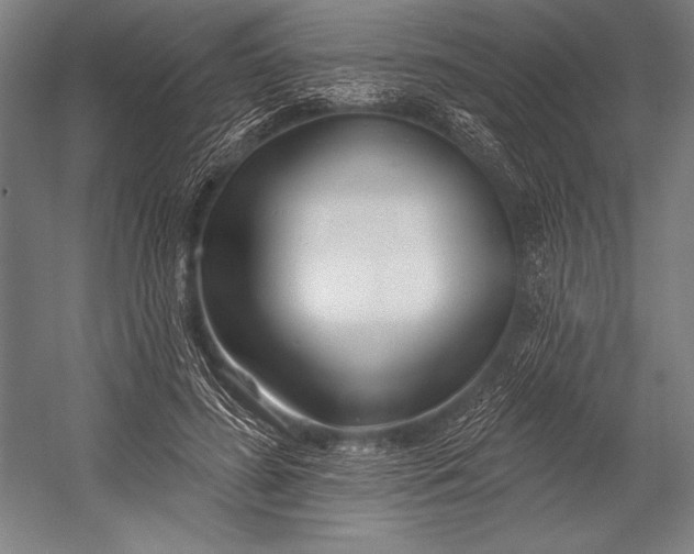 X0000053000596200507221249