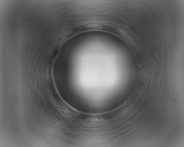 X0000053000597200507221249