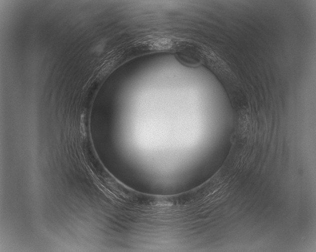 X0000053000598200507221249