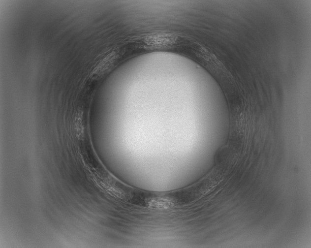 X0000053000599200507221249