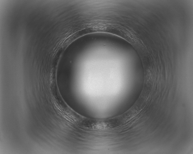 X0000053000600200507221249