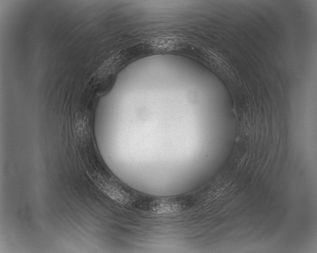 X0000053000601200507221249