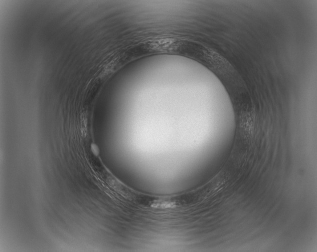 X0000053000602200507221249