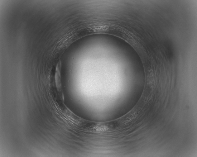 X0000053000604200507221249