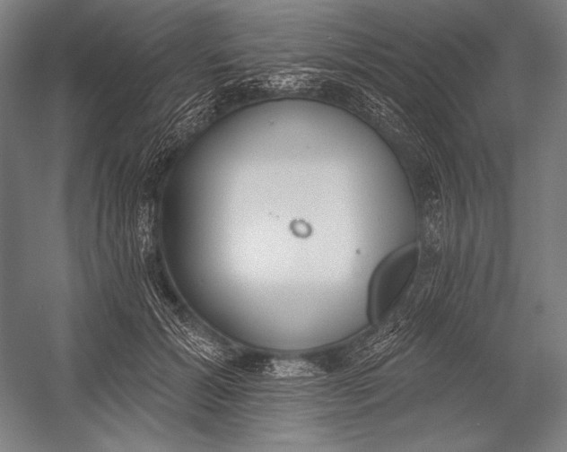 X0000053000605200507221249