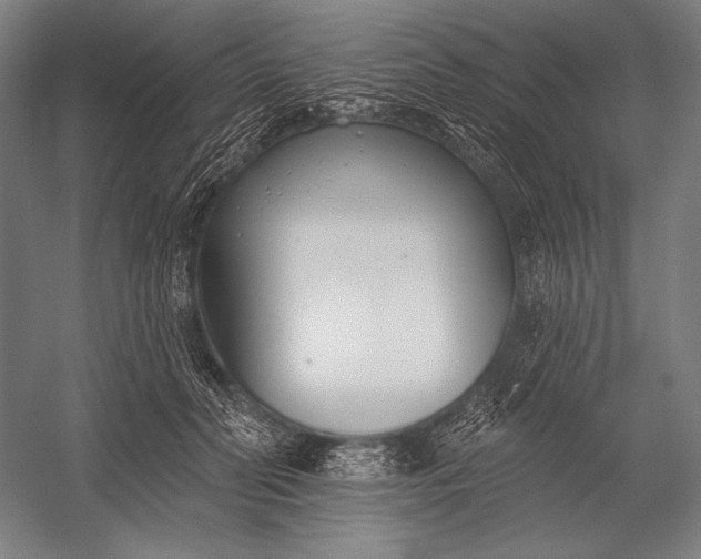 X0000053000606200507221249