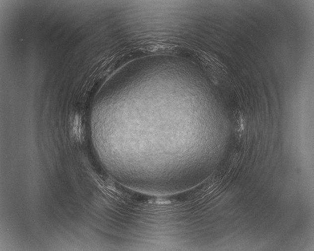 X0000053000607200507221249