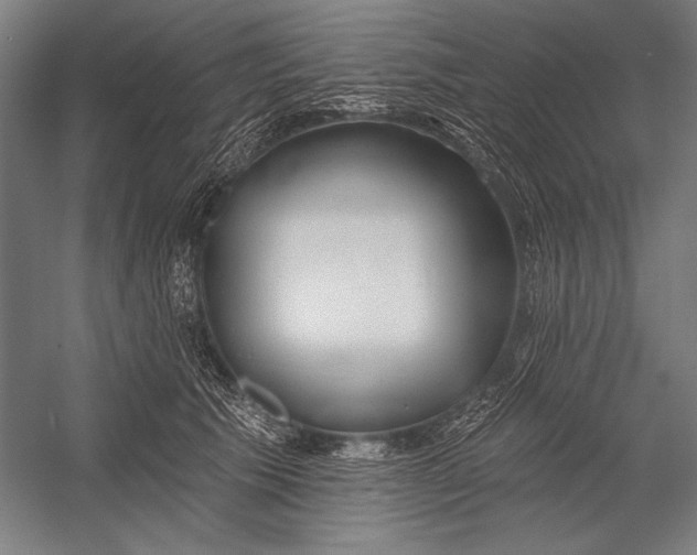 X0000053000609200507221249