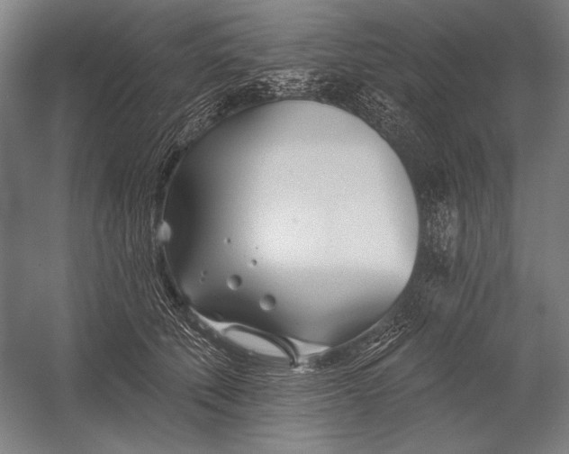 X0000053000610200507221249