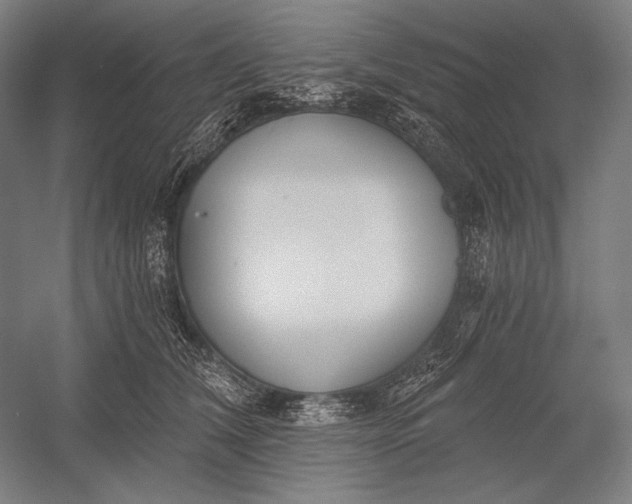 X0000053000612200507221249