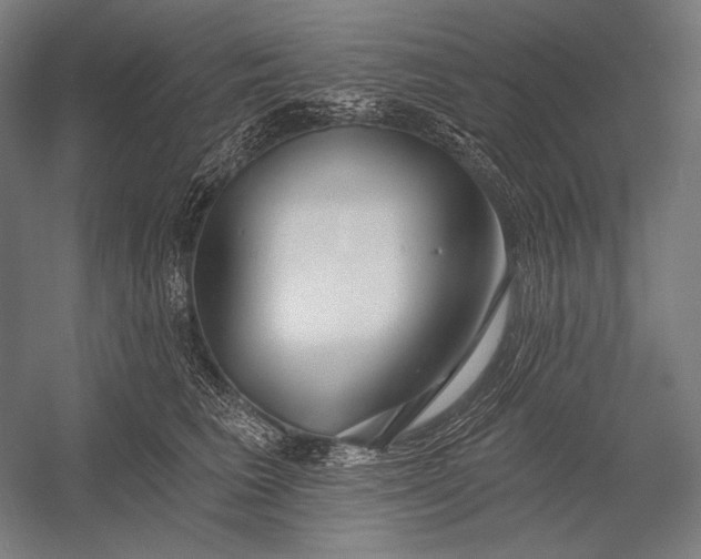 X0000053000613200507221249