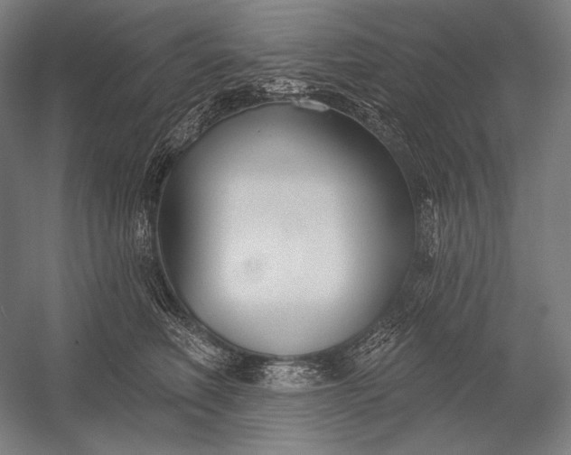 X0000053000614200507221249