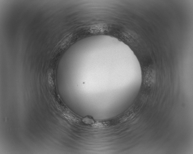 X0000053000616200507221249