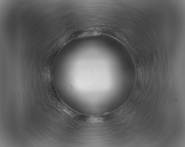 X0000053000617200507221249