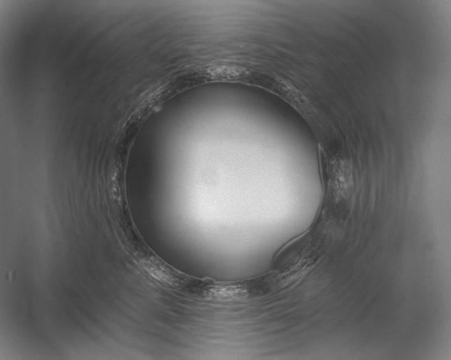 X0000053000619200507221249