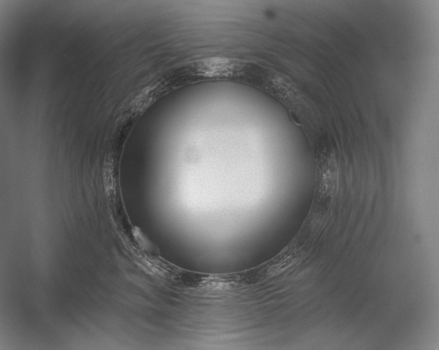 X0000053000620200507221249